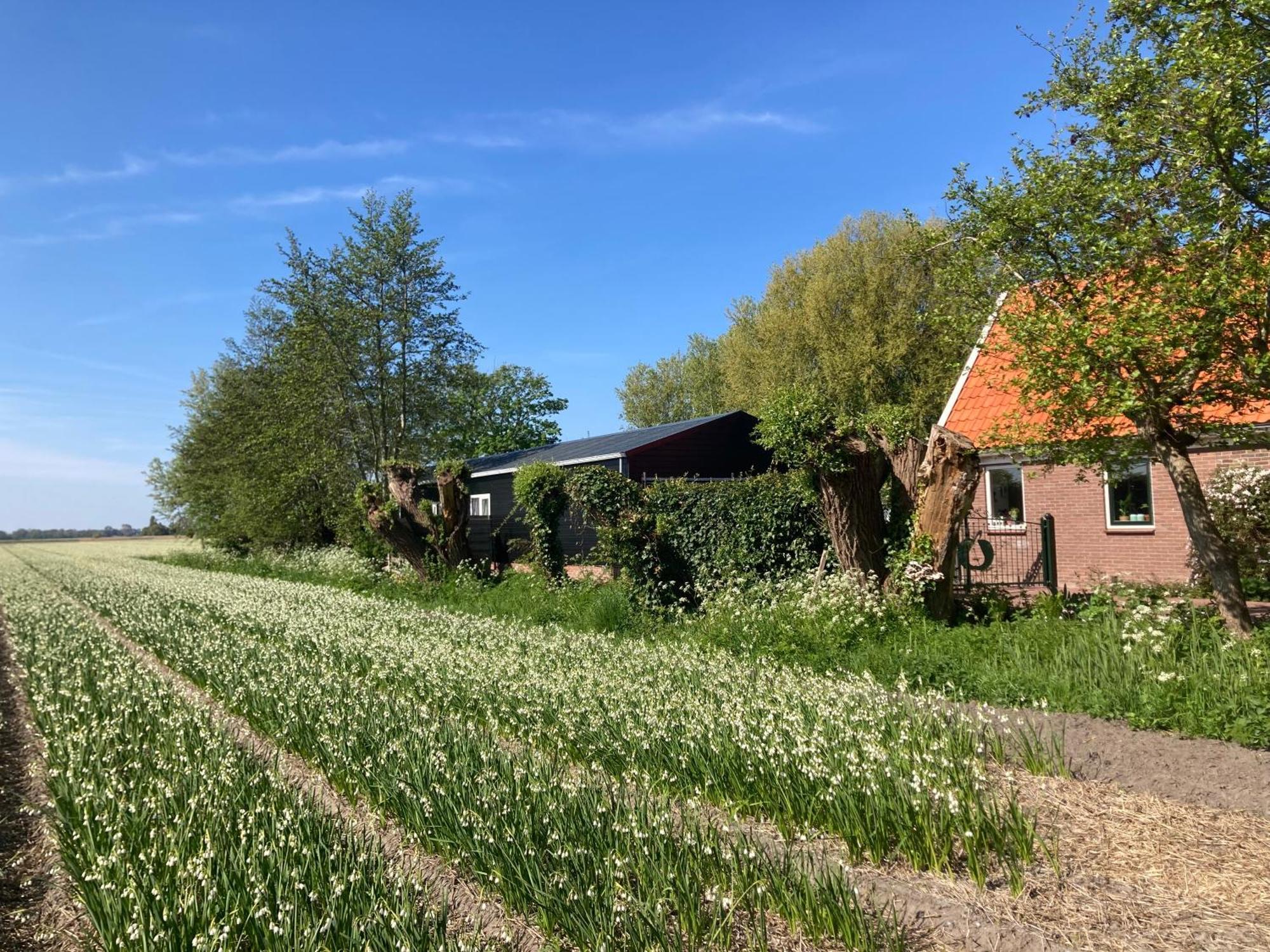 Appels En Peren Bed And Breakfast Breezand Exterior photo