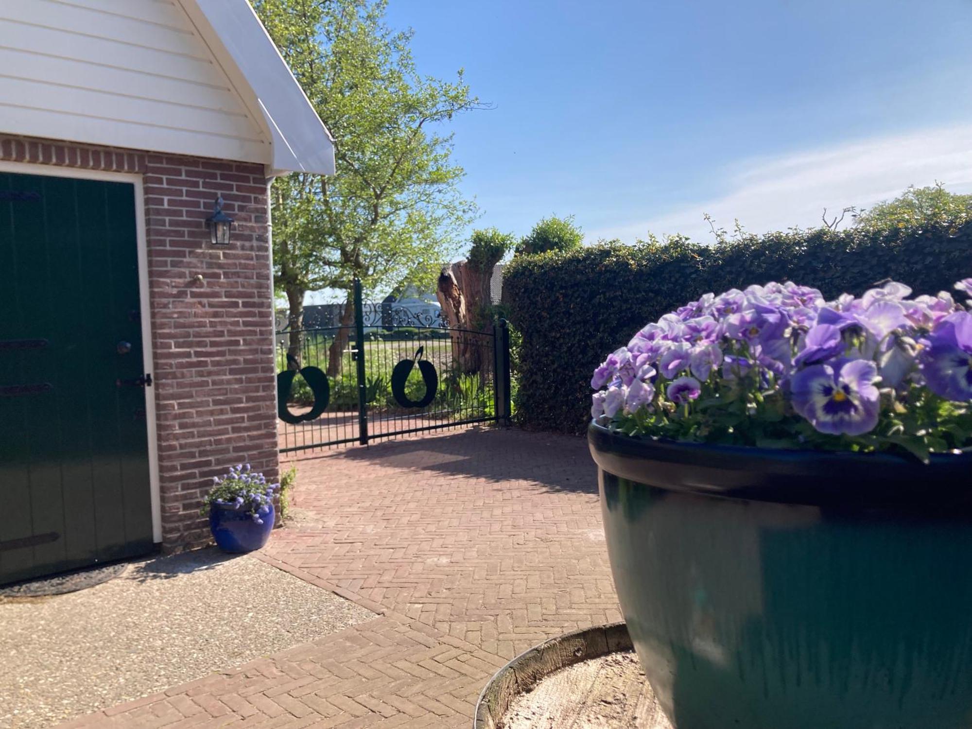 Appels En Peren Bed And Breakfast Breezand Exterior photo