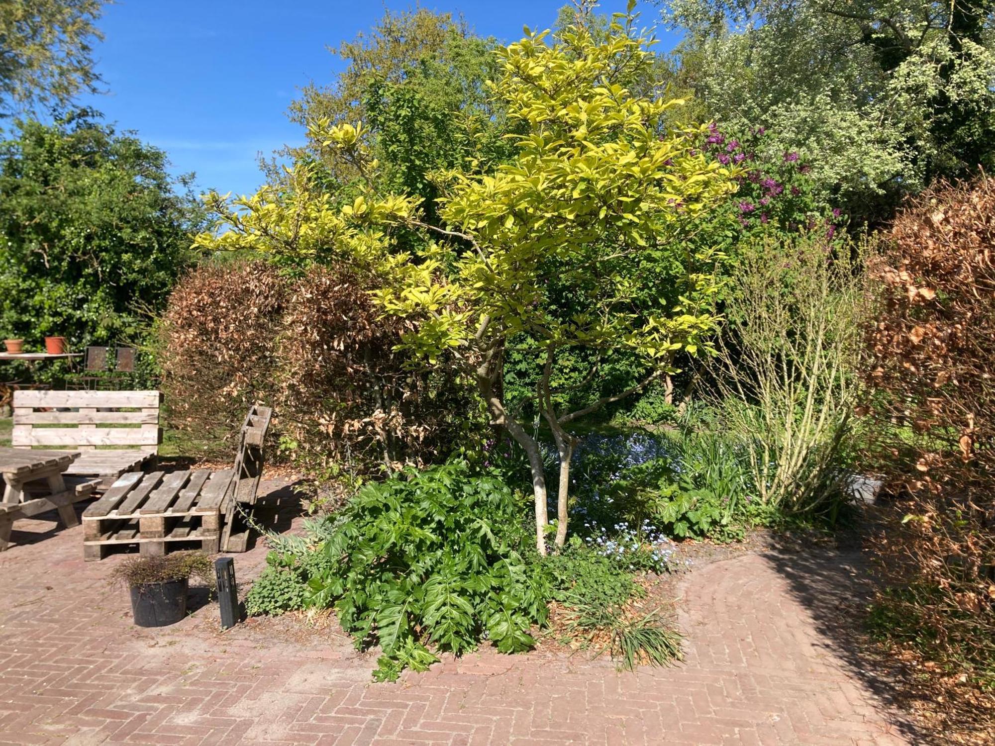 Appels En Peren Bed And Breakfast Breezand Exterior photo