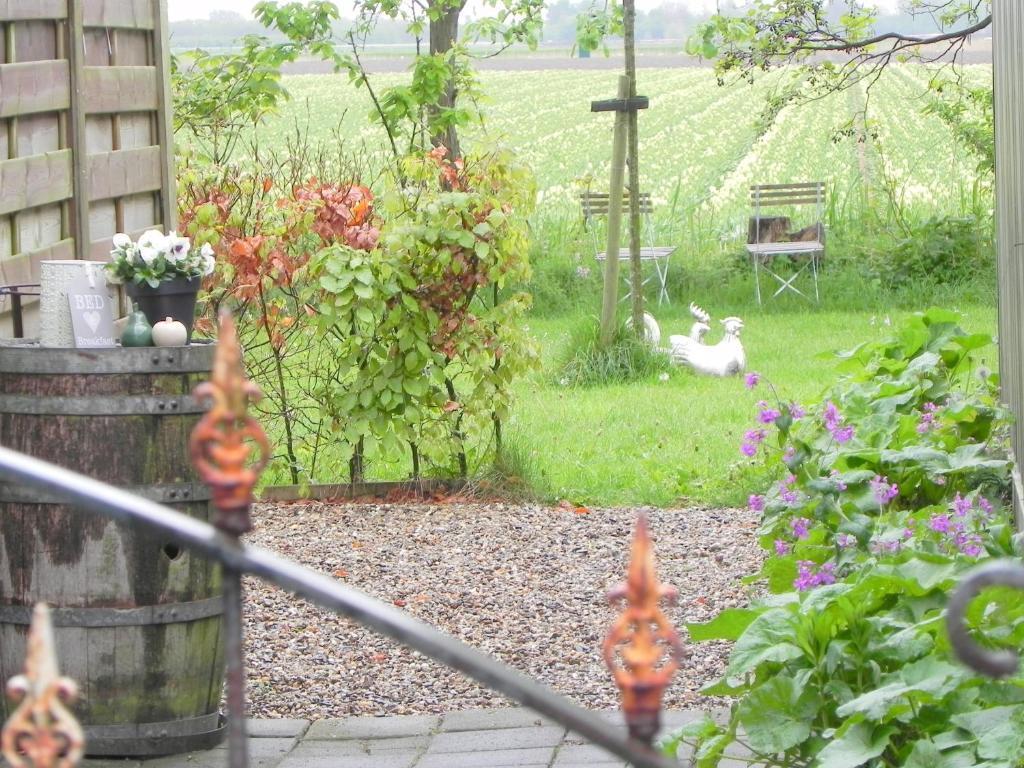 Appels En Peren Bed And Breakfast Breezand Room photo